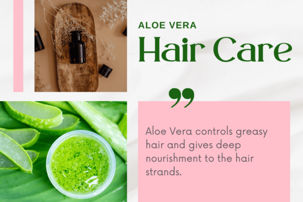 Deep Hair Conditioning is now easy with Aloe Vera