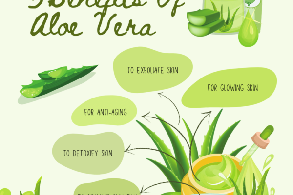 5 DIY Aloe Vera Face Packs for Beautiful Skin Everyday