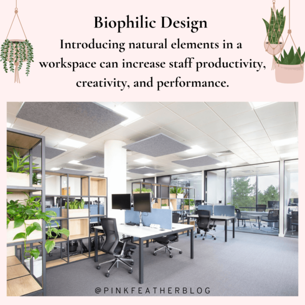 Biophilic Office Design – Connecting Nature with Work