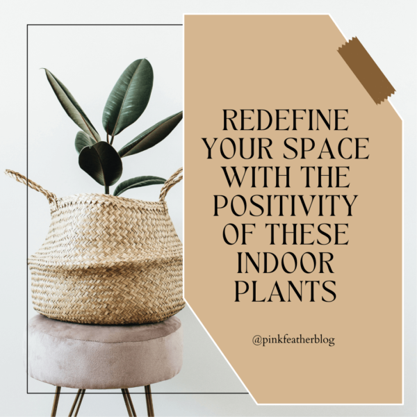 Redefine your Space with the positivity of these Indoor Plants